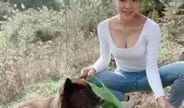 娱乐吃瓜酱大山里,娱乐吃瓜酱的神秘之旅